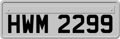 HWM2299