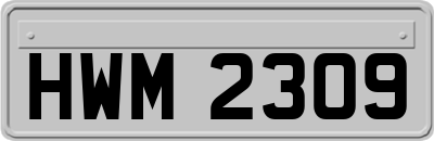 HWM2309