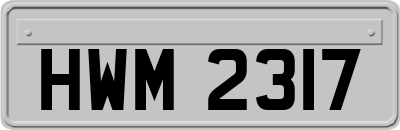 HWM2317