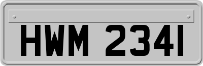 HWM2341