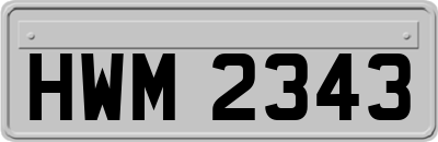 HWM2343