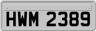 HWM2389
