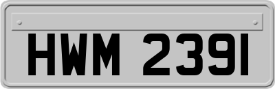HWM2391