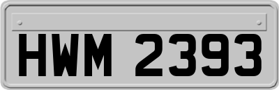 HWM2393