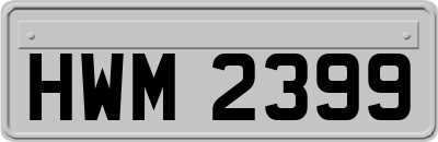 HWM2399