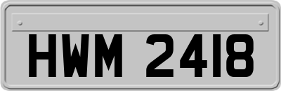 HWM2418