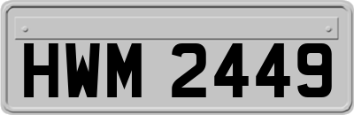 HWM2449