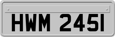 HWM2451