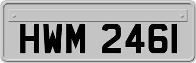 HWM2461