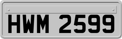 HWM2599