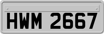 HWM2667