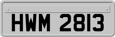 HWM2813
