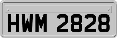 HWM2828