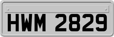 HWM2829