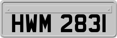 HWM2831