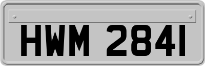 HWM2841