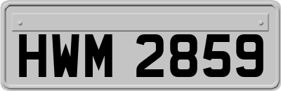 HWM2859
