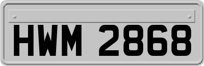 HWM2868