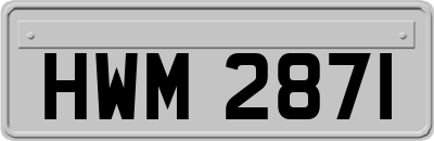 HWM2871