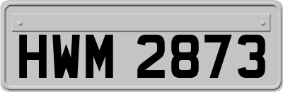 HWM2873