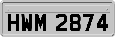 HWM2874