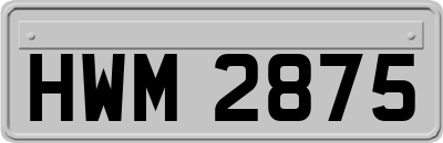 HWM2875