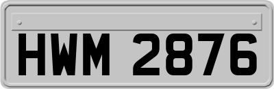 HWM2876