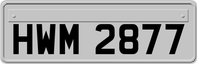 HWM2877