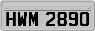 HWM2890