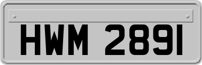HWM2891