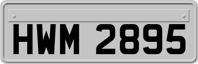 HWM2895