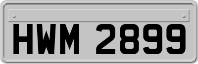 HWM2899