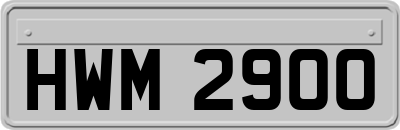 HWM2900