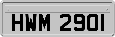 HWM2901