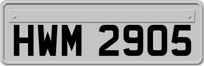 HWM2905