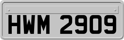 HWM2909
