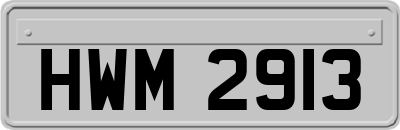 HWM2913