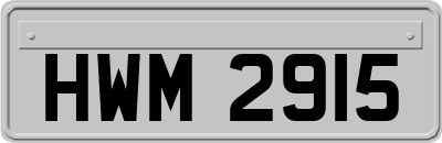 HWM2915