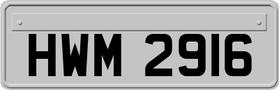 HWM2916