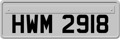 HWM2918