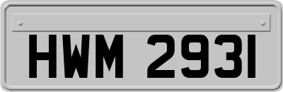 HWM2931
