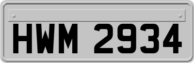 HWM2934