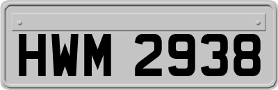 HWM2938