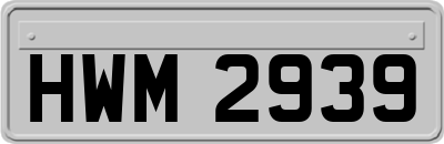 HWM2939