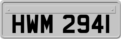 HWM2941