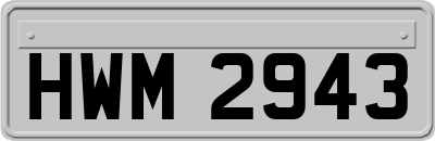 HWM2943