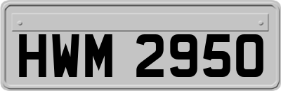 HWM2950