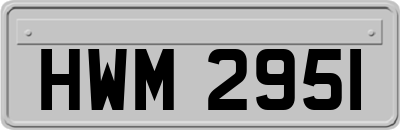 HWM2951