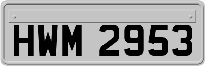 HWM2953