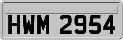 HWM2954